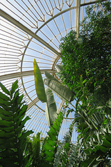 kew gardens, london