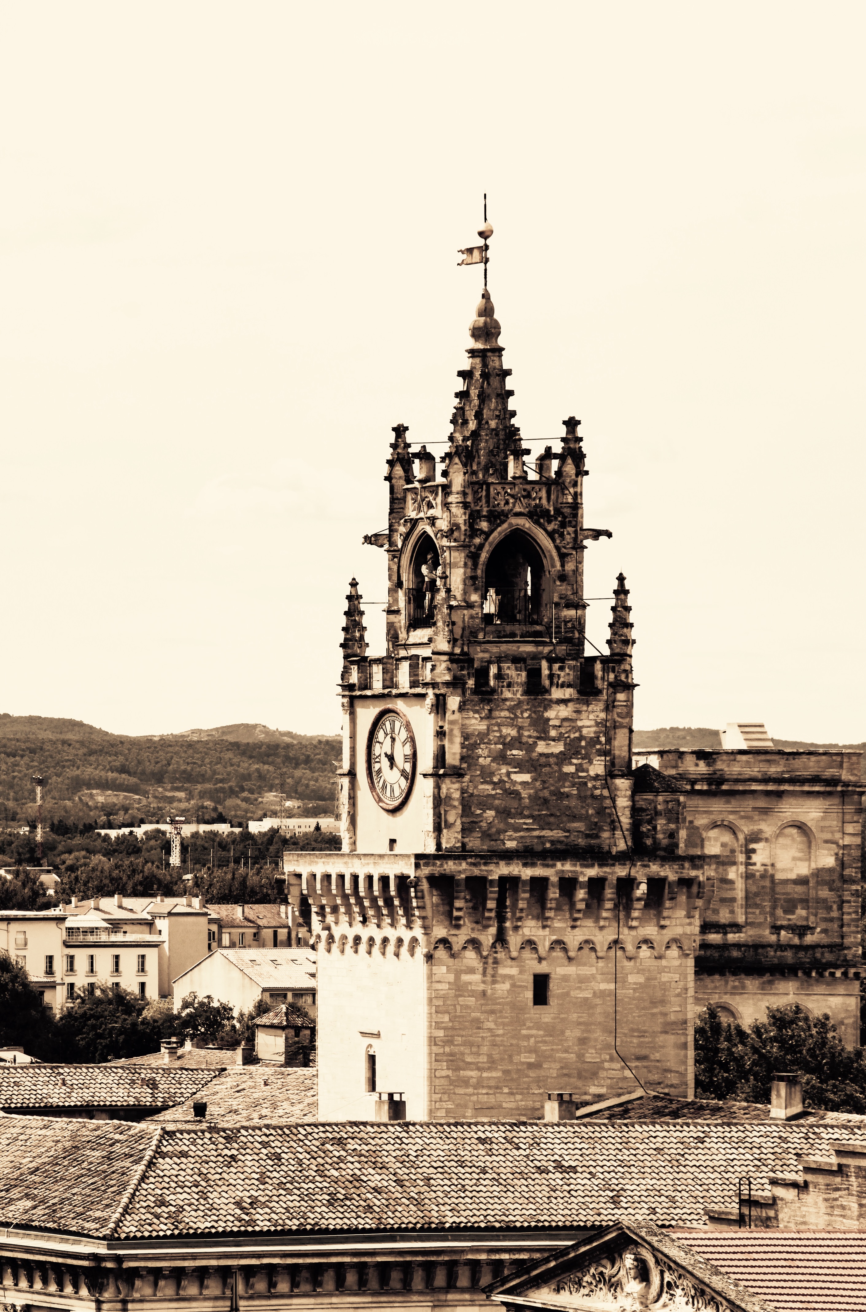 Avignon View