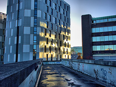 Late Light and Reflections In The City