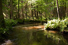 Waldnaabtal