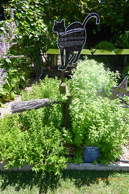 le jardin des sorcières !