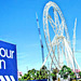 #27 - Eunice Perkins - Melbourne's Big Wheel - 40° 0points