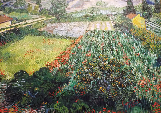 Detail of Field with Poppies by Van Gogh in the Metropolitan Museum of Art, July 2023