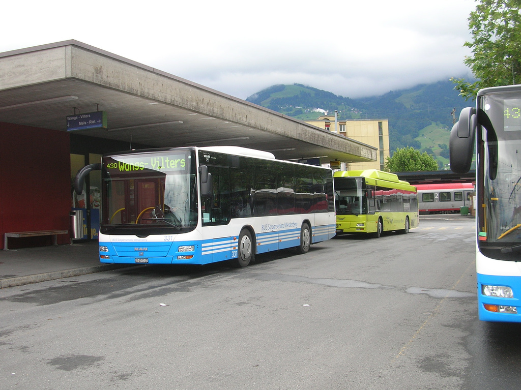 DSCN1985 Buses at Sargans - 13 Jun 2008