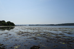 Clyde Estuary At Rhu