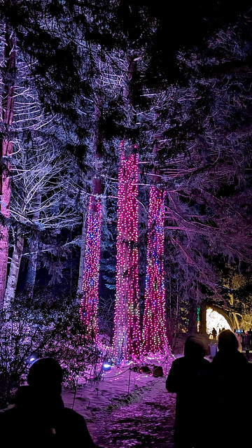 Christmas Garden Hamburg