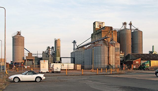 Timm Grain