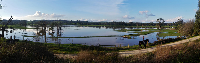 Tarwin River in flood