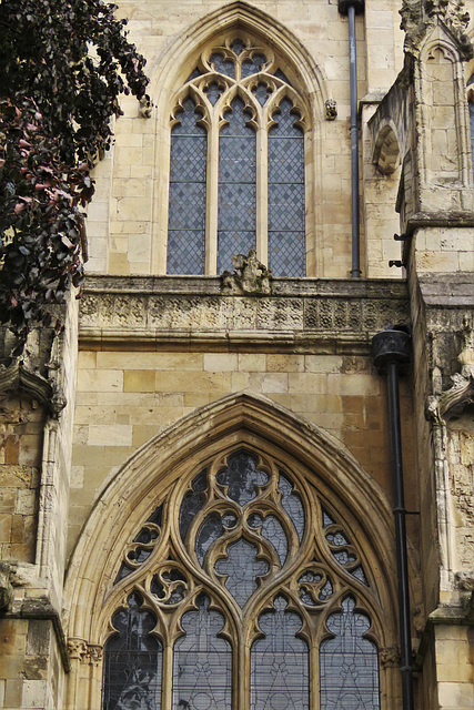 beverley minster, yorks