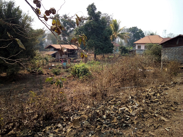 Biodiversité laotienne