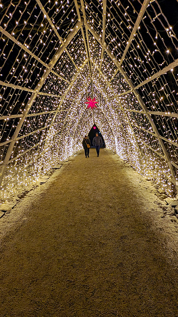 Christmas Garden Hamburg