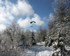 flight/vol