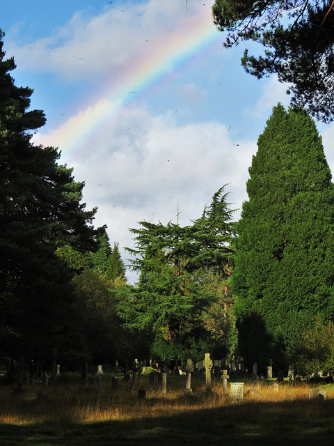 brookwood cemetery, surrey