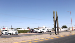 Cactus et camions de transport
