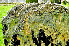 Lichen covered erosion