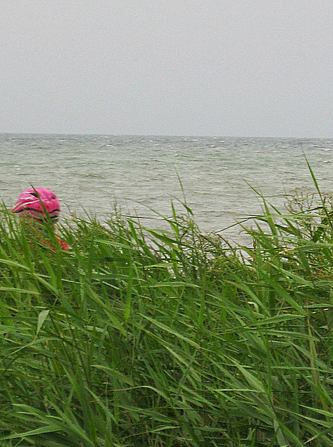 Little Pink Riding Hood oder "Rosakäppchen"