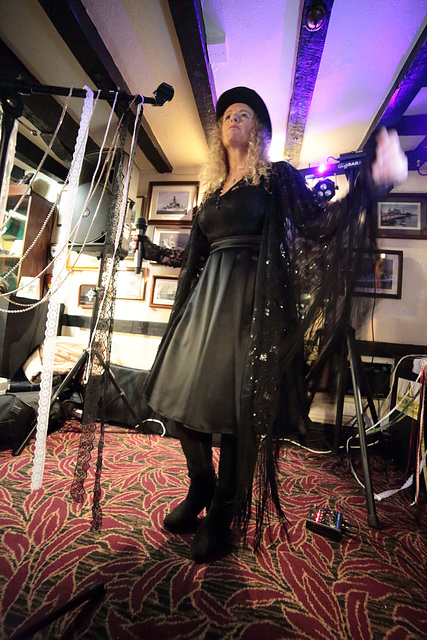 EOS 6D Peter Harriman 21 26 16 08743 StevieNicks unproc