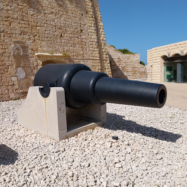 Armstrong muzzle loading gun