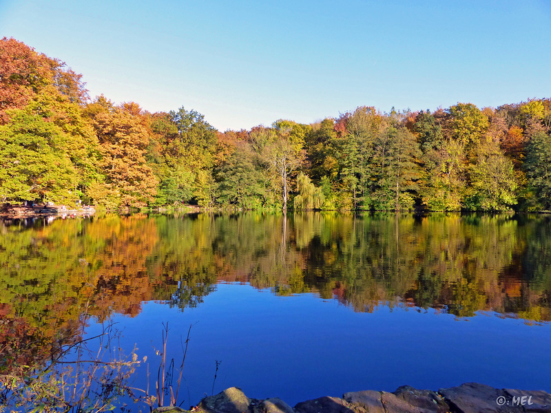 Herbstimpressionen