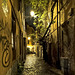 In the evening  between the streets of Trastevere - Roma