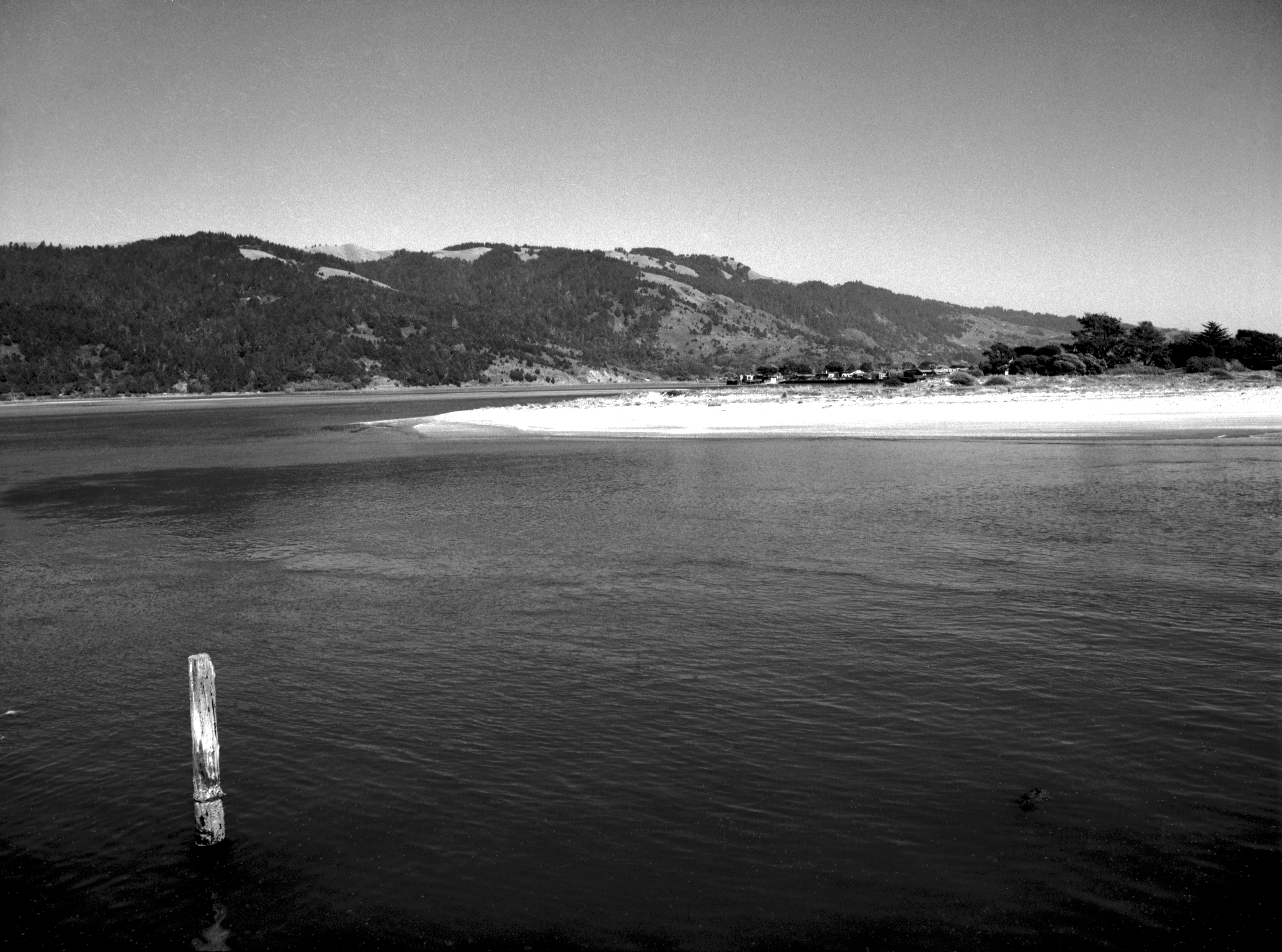 Bolinas Lagoon