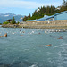 Alaska, Seagulls and Sea Lions are Hunting Salmon at the Dam of Solomon Gulch Hydroelectric