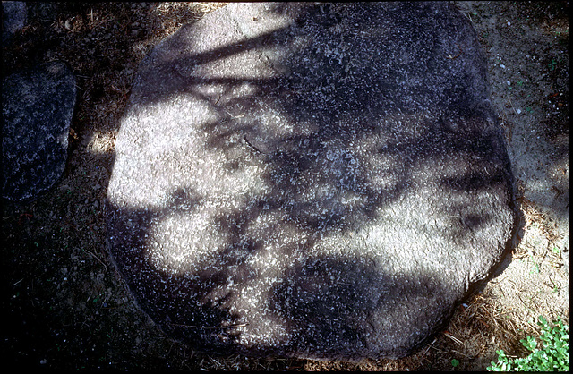 Traditional Japanese style garden 02