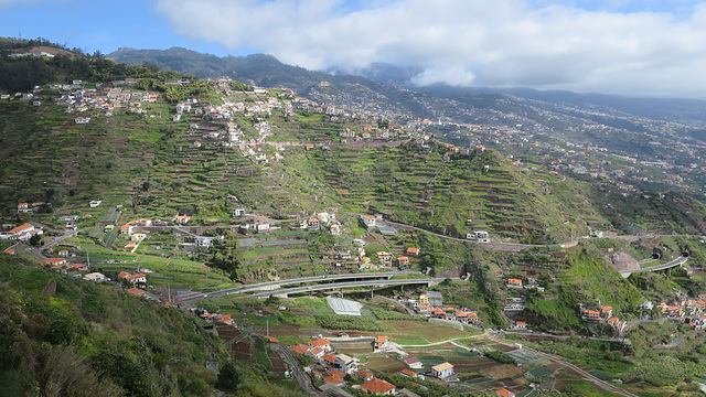 Câmara De Lobos