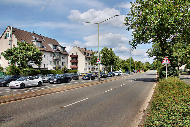 Meisenburgstraße (Essen-Bredeney) / 6.07.2023