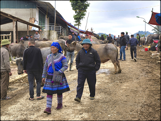 L'affaire est dans le sac