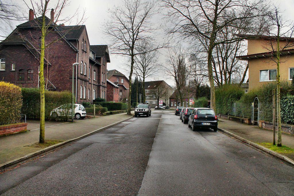 Otto-Krawehl-Straße (Bottrop-Batenbrock) / 19.03.2017