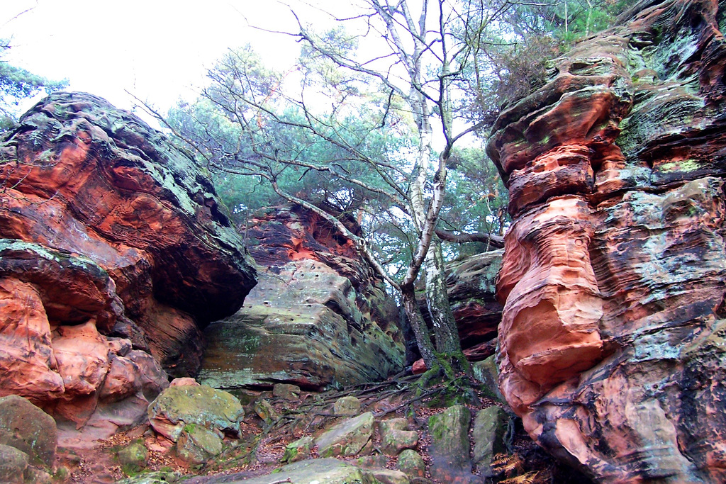 DE - Mechernich - Katzensteine / Cat rocks