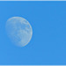 Randonnée à Plouer sur Rance (22) avec la lune