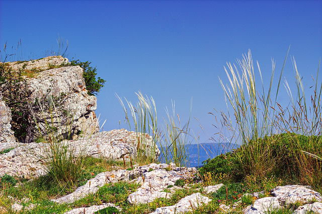 Montagne de Chamouse.