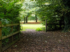 Tea gardens through this gate!!