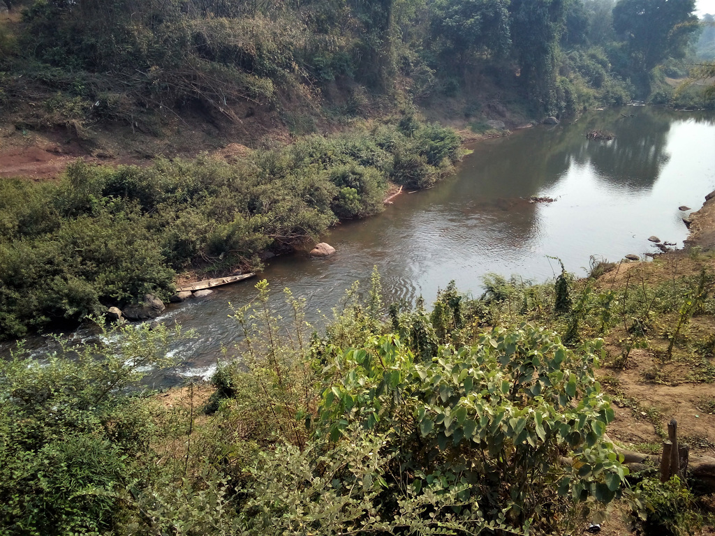 Nature 100% laotienne