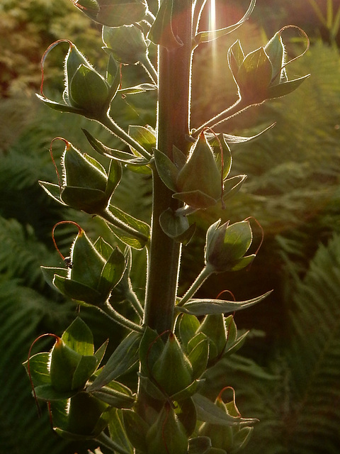 Licht und Schatten