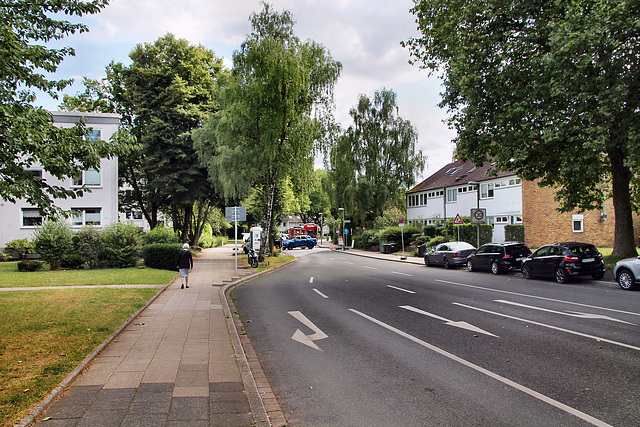 Zeißbogen (Essen-Bredeney) / 6.07.2023