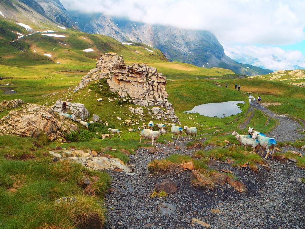 Cirque de TROUMOUSSE (6)