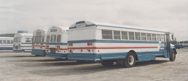 Zinck's Bus Co line up - 9 Sep 1992 (175-34) Zinck's Bus Co line up - 9 Sep 1992 (175-34)