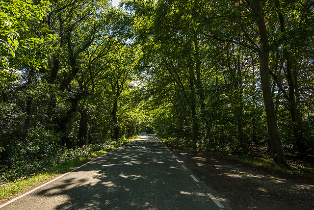 Mudhouse Lane on the way to Burton Wetlands