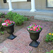 #2    second view...Urns of Petunias....