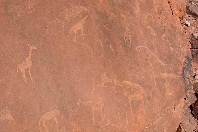 Namibia, Rock Carvings in the Twyfelfontein Valley