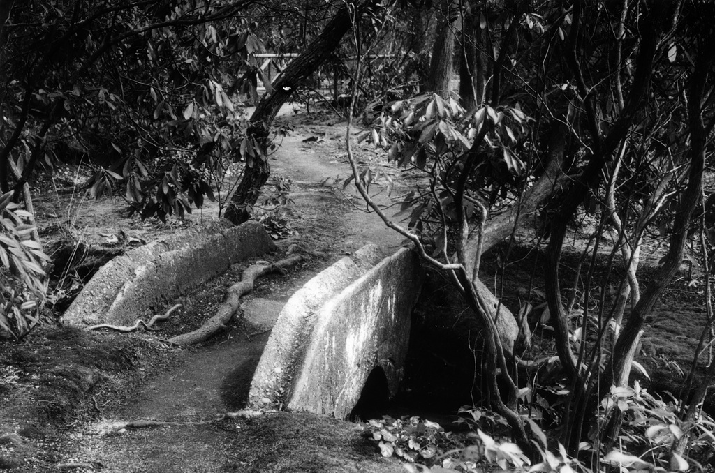 Bridge Print