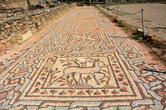 North Macedonia, Floor Mosaics in Heraclea Lyncestis