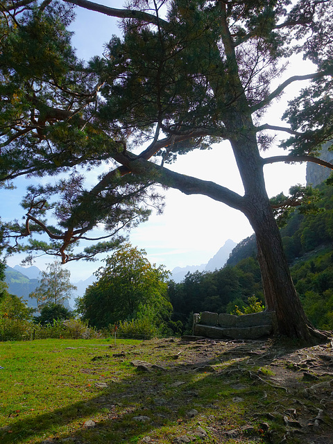 "Rütli", das Heiligtum der Schweiz