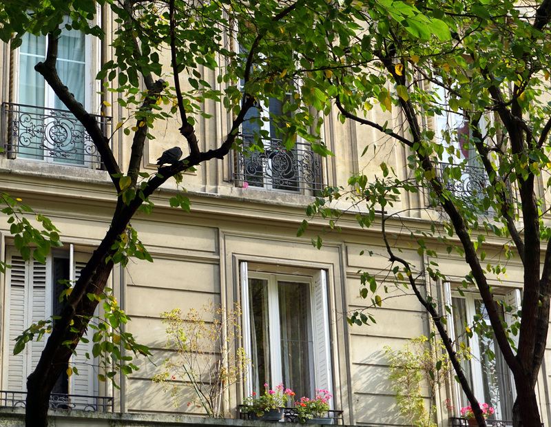 Windows, near  Les Halles