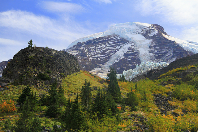 Mount Baker from the Heliotrope Ridge trail.