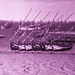 The schooners of the King D. Carlos I in Cascais Bay (19th century)