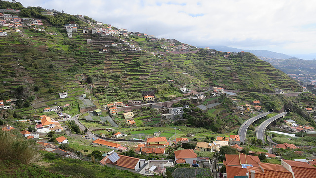 Câmara De Lobos